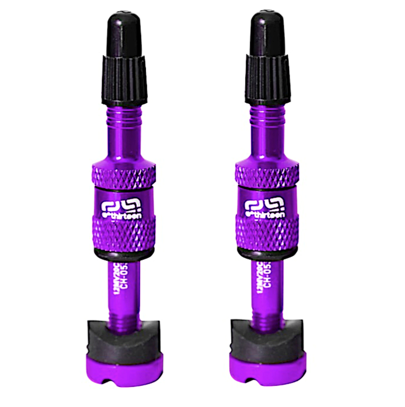 Presta Quickfill Tubeless Valves  Gen2  16-24mm Eggplant